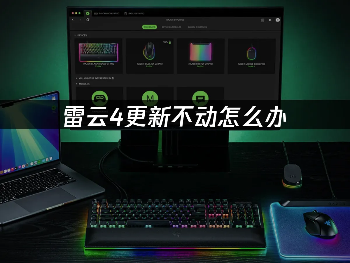 雷云4软件界面展示