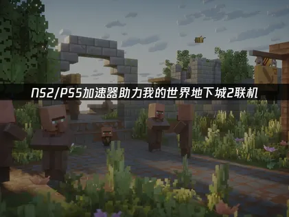 NS2/PS5暢玩我的世界地下城2的加速器推薦與最佳化調整方案！