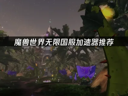 魔兽世界无限国服加速器推荐：专业加速方案解析！