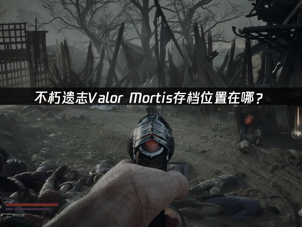 不朽遺志遊戲封面